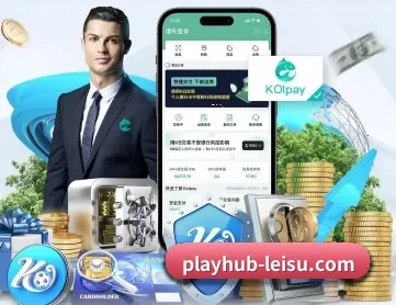 playhub-leisu.com APP